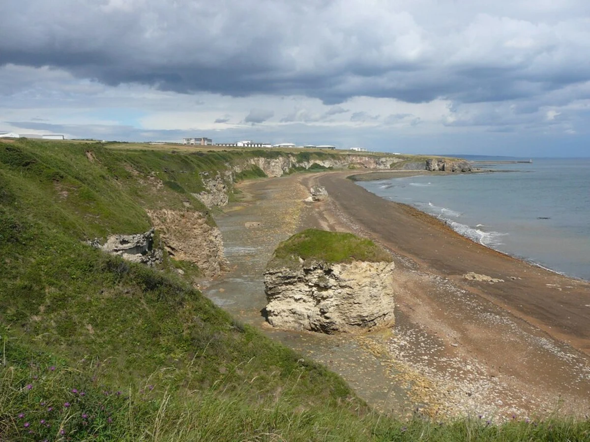 Dalton Le Dale Country Park and Hawthorn Country Park Loop