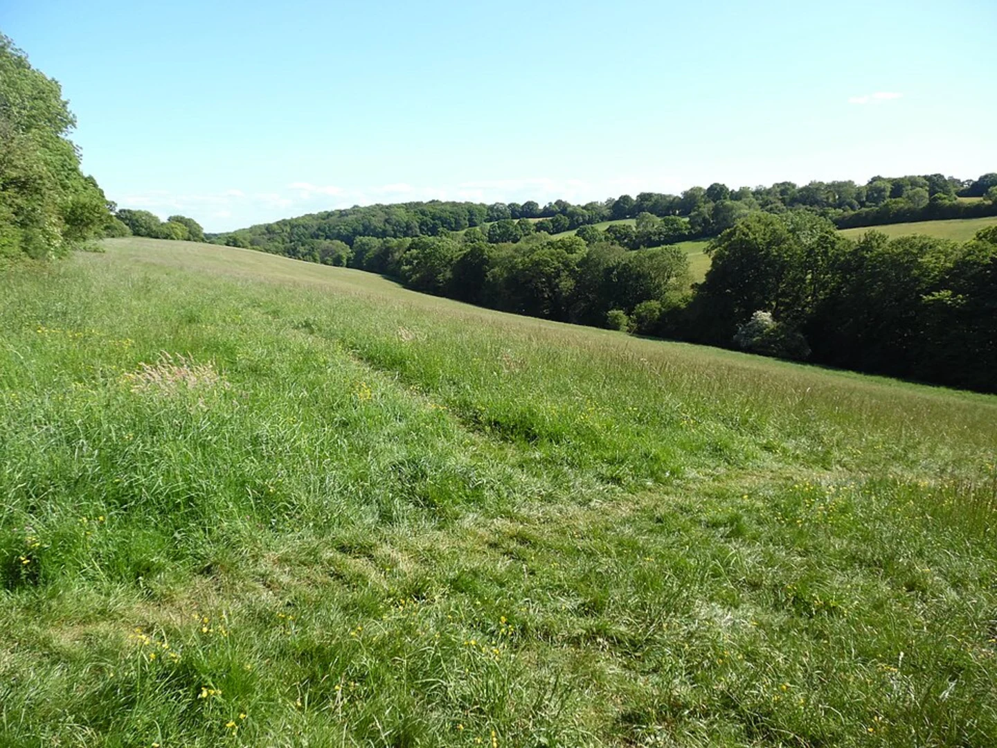 An image depicting the trail The Lee Country Park from Cholesbury and its surrounding area.