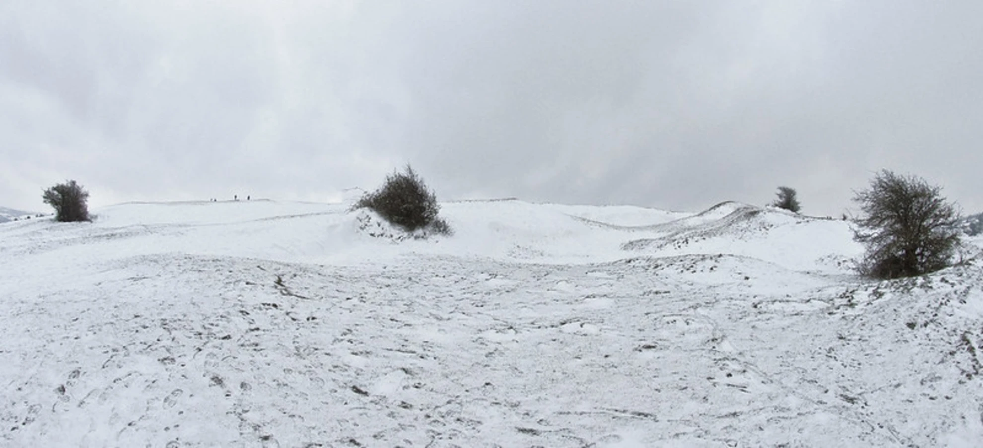 An image depicting the trail Selsley Common Peak Loop and its surrounding area.