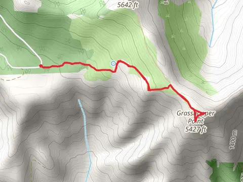 Grasshopper Mountain Trail - National Forest Development Road 1929
