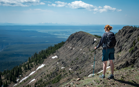 An image depicting the trail Chittenden Road - Mount Washburn Trail and its surrounding area.