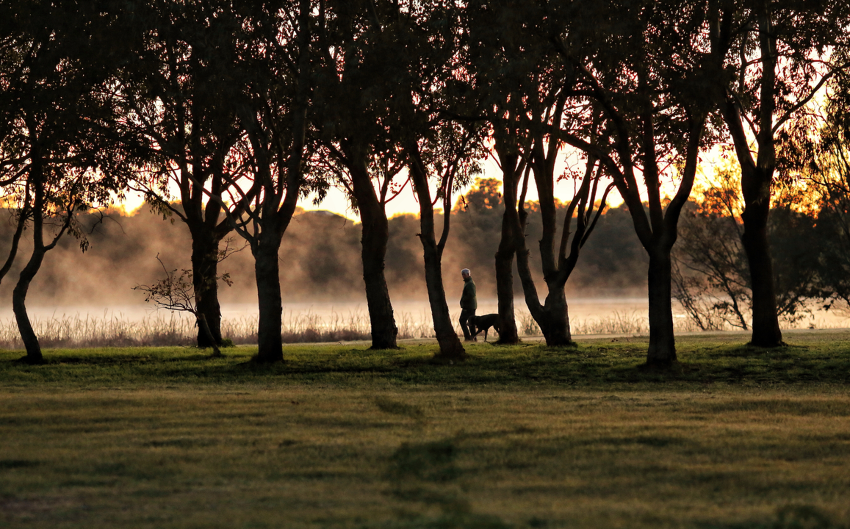 An image depicting the trail Lake Gwelup Walk and its surrounding area.