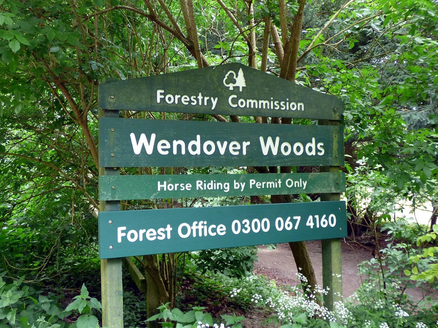 An image depicting the trail Wendover Woods and Stonehill Wood Loop and its surrounding area.