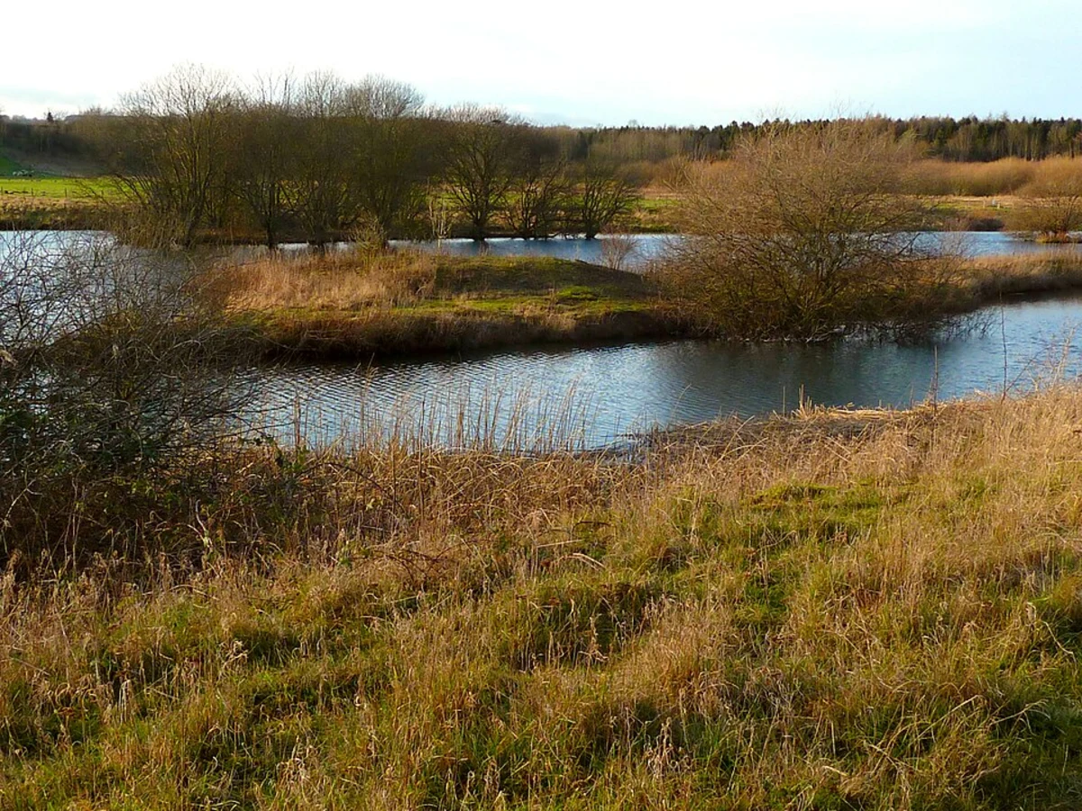 Marfield Wetlands Loop