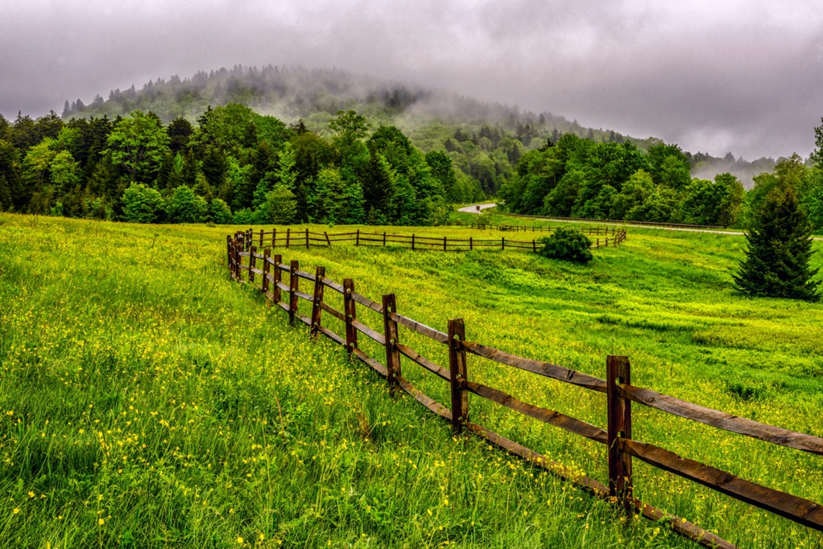 An image depicting the trail Right Fork Tea Creek Trail and its surrounding area.