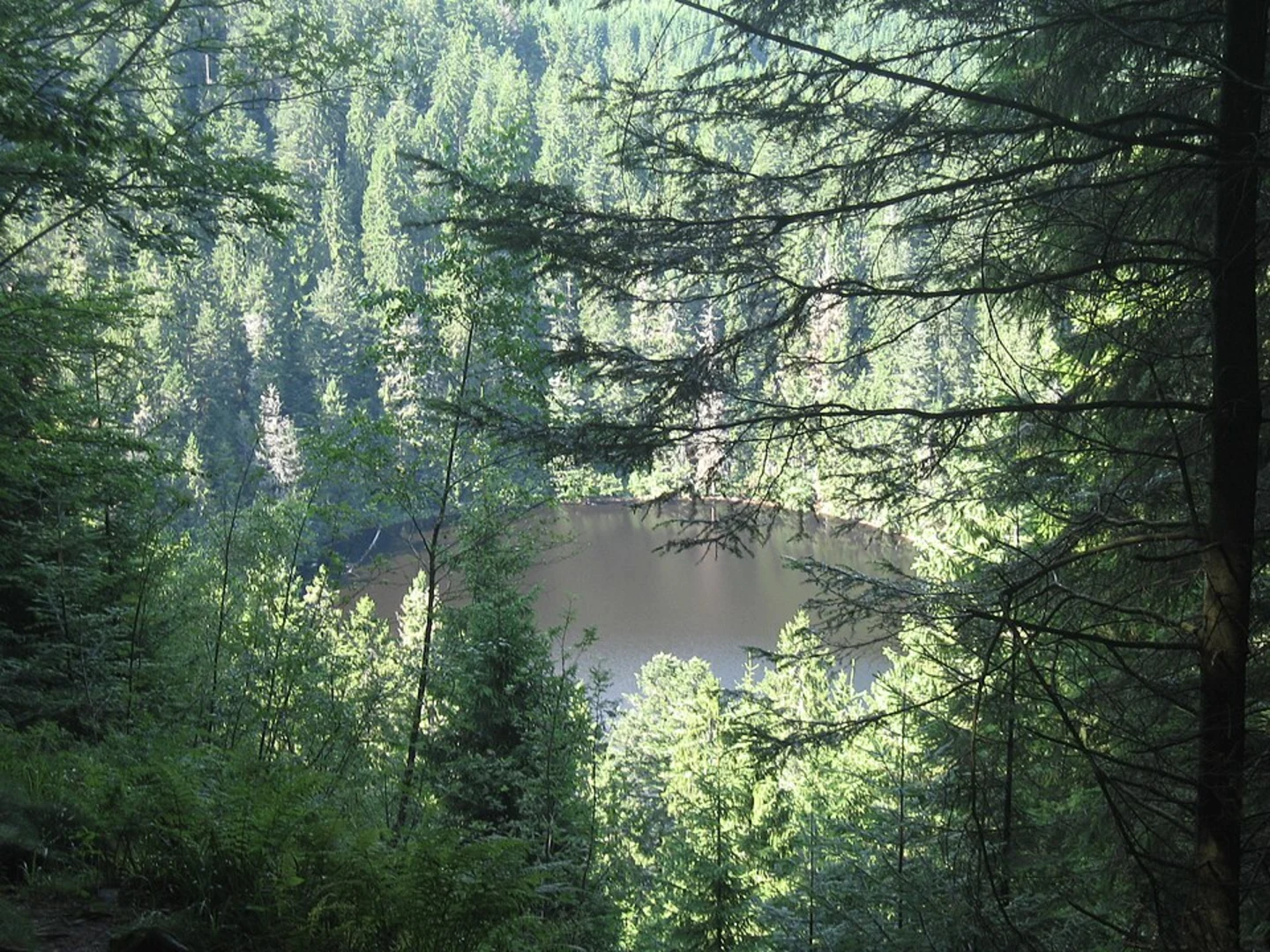 An image depicting the trail Glaswaldsee via Unteres Seebenesträßle and its surrounding area.