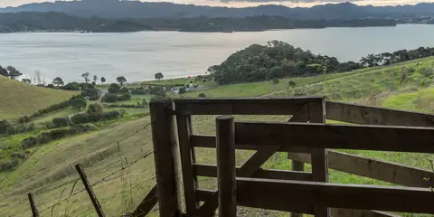 An image depicting the trail Whangaruru North Head Loop and its surrounding area.