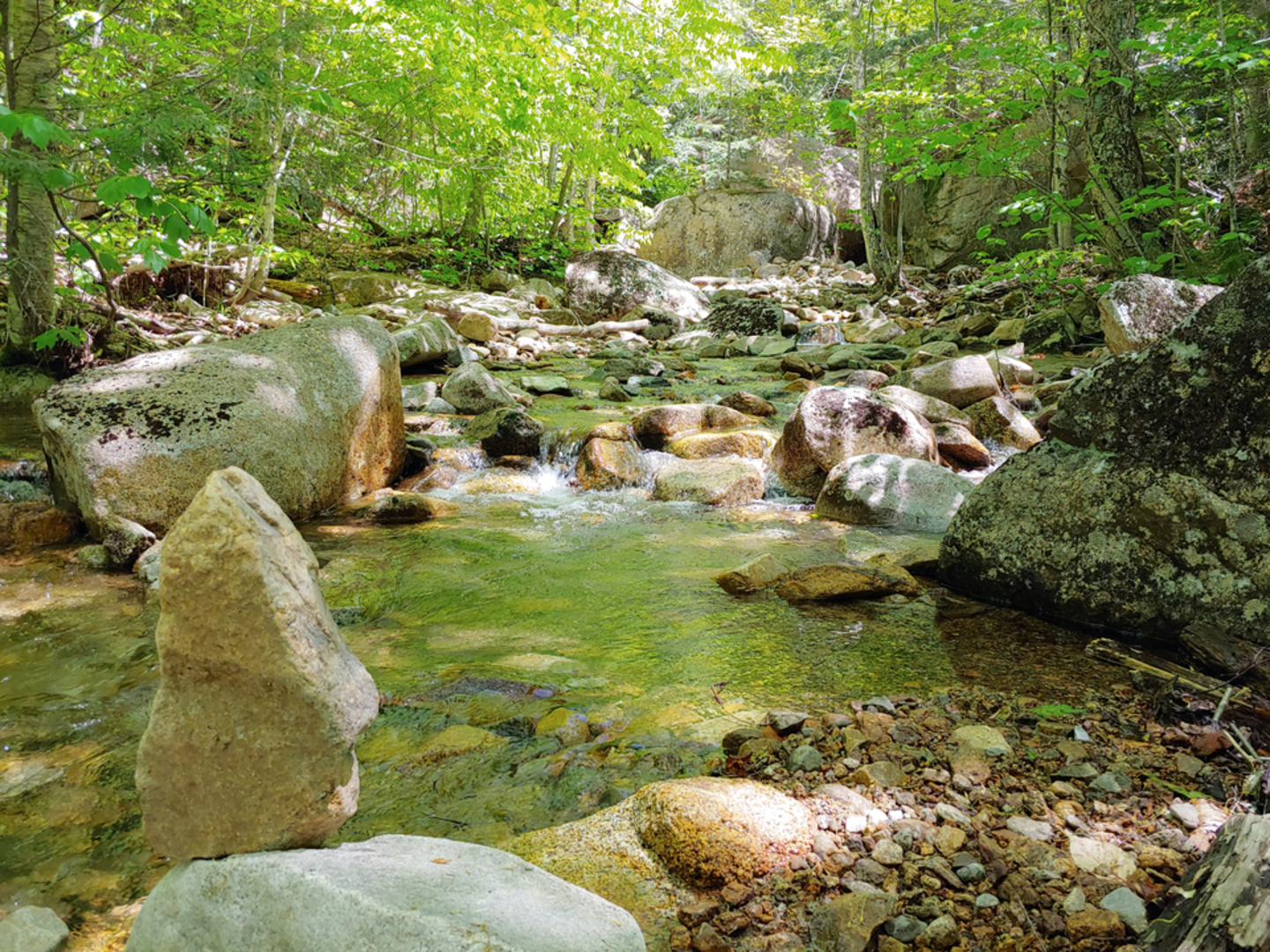 An image depicting the trail Mount Chocorua via Champney Falls Trail and its surrounding area.