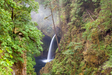 An image depicting the trail Metlako Falls via Eagle Creek Trail and its surrounding area.