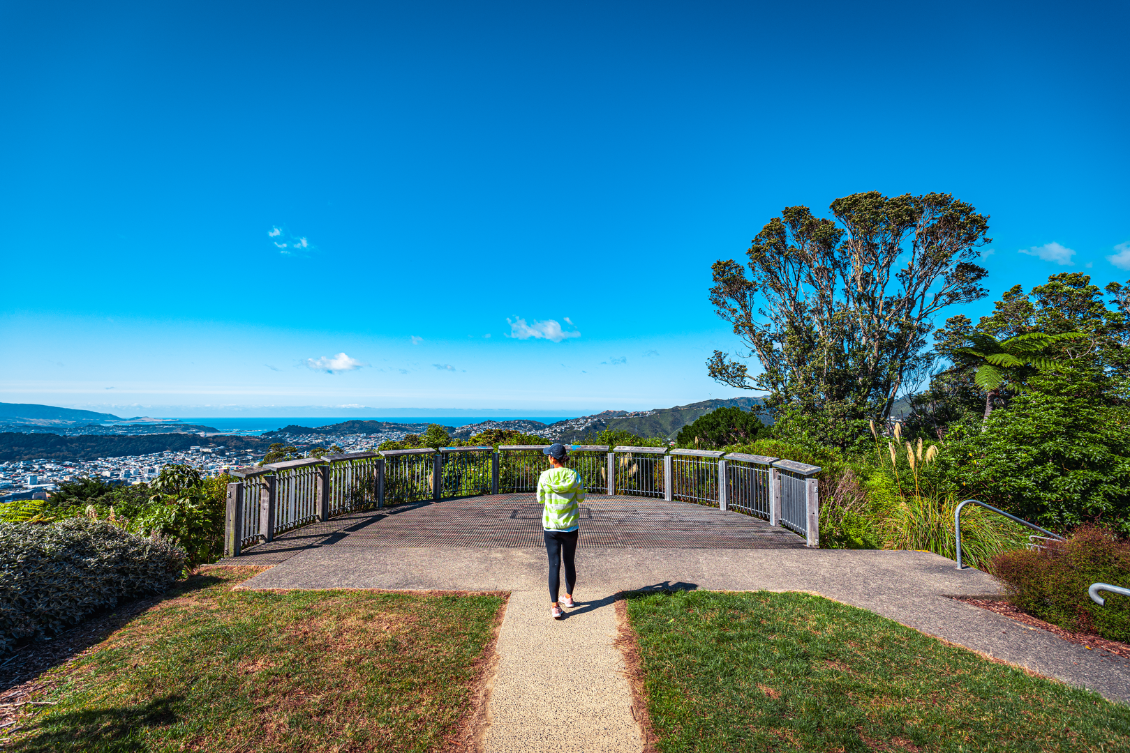 An image depicting the trail Te Ahumairangi Northern Walkway and Ridgeline Loop and its surrounding area.