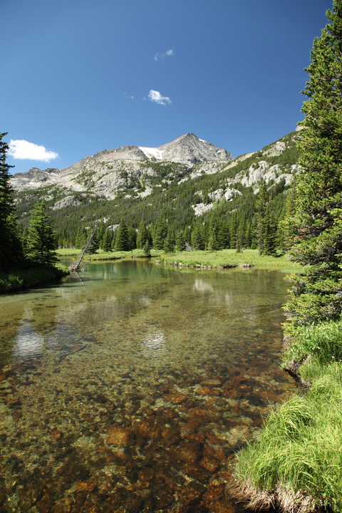 An image depicting the trail Buffalo Fork Trail via Buffalo Divide Trail and its surrounding area.