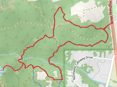 Cronemiller Lake and Calloway Creek Trail Loop