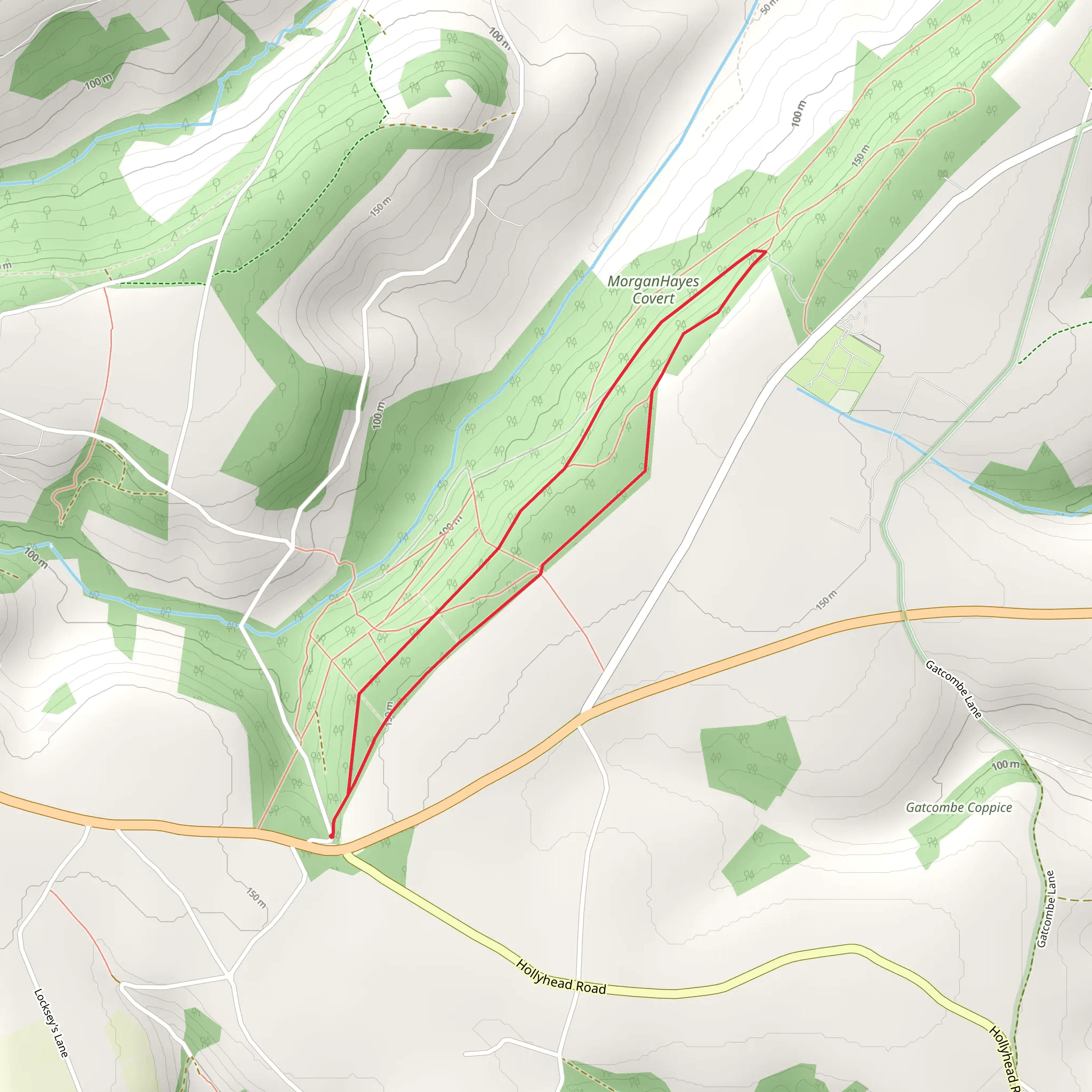 Morgan Hayes Covert Short Walk mobile static map