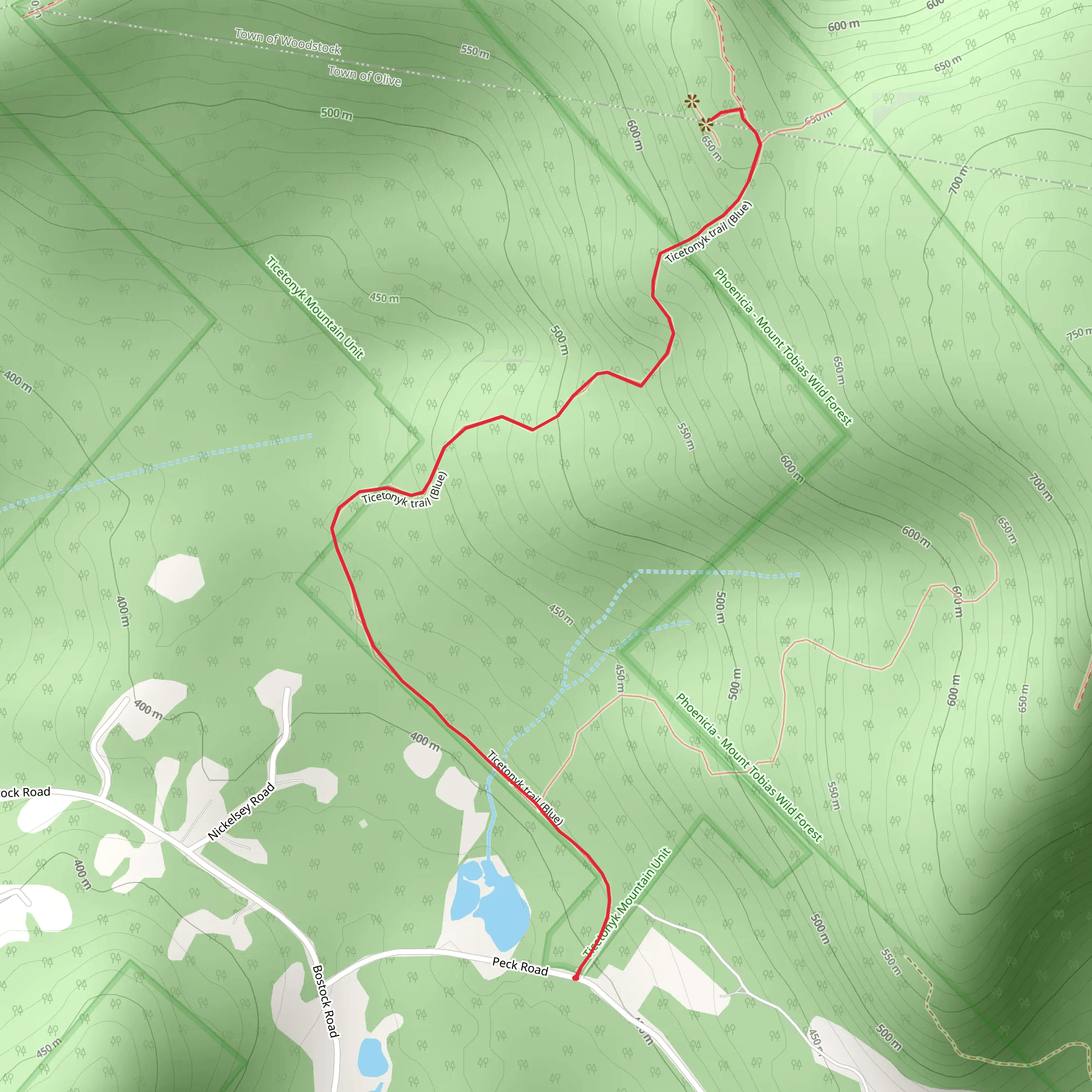 Olive from Peck Road mobile static map