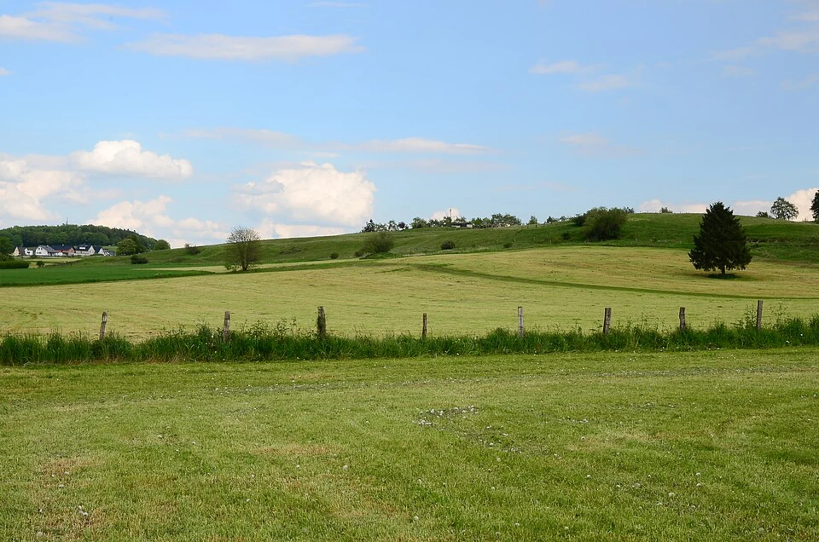 An image depicting the trail Rothaarsteig and its surrounding area.