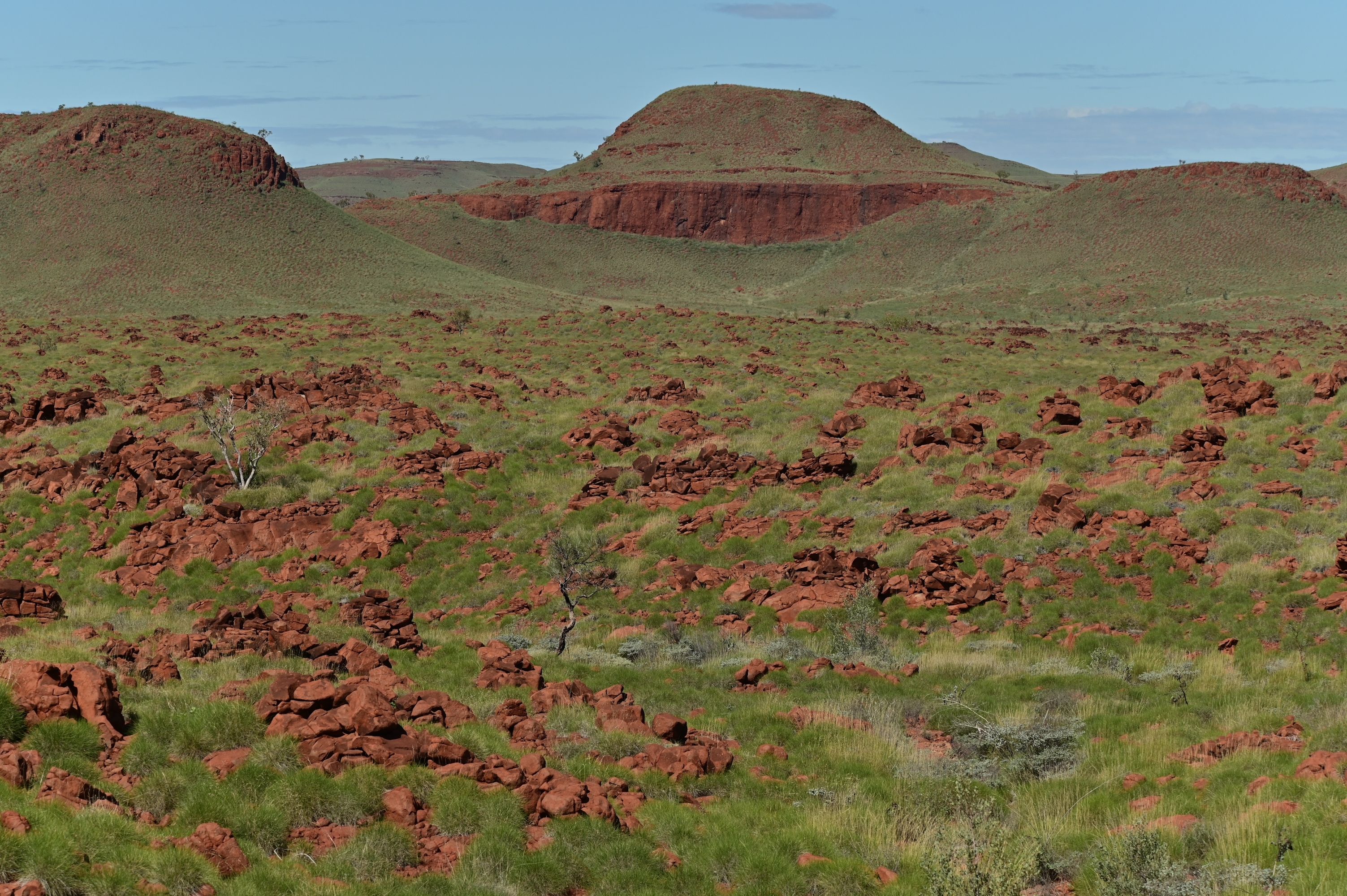 An image depicting the trail Millstream Chichester National Park and its surrounding area.