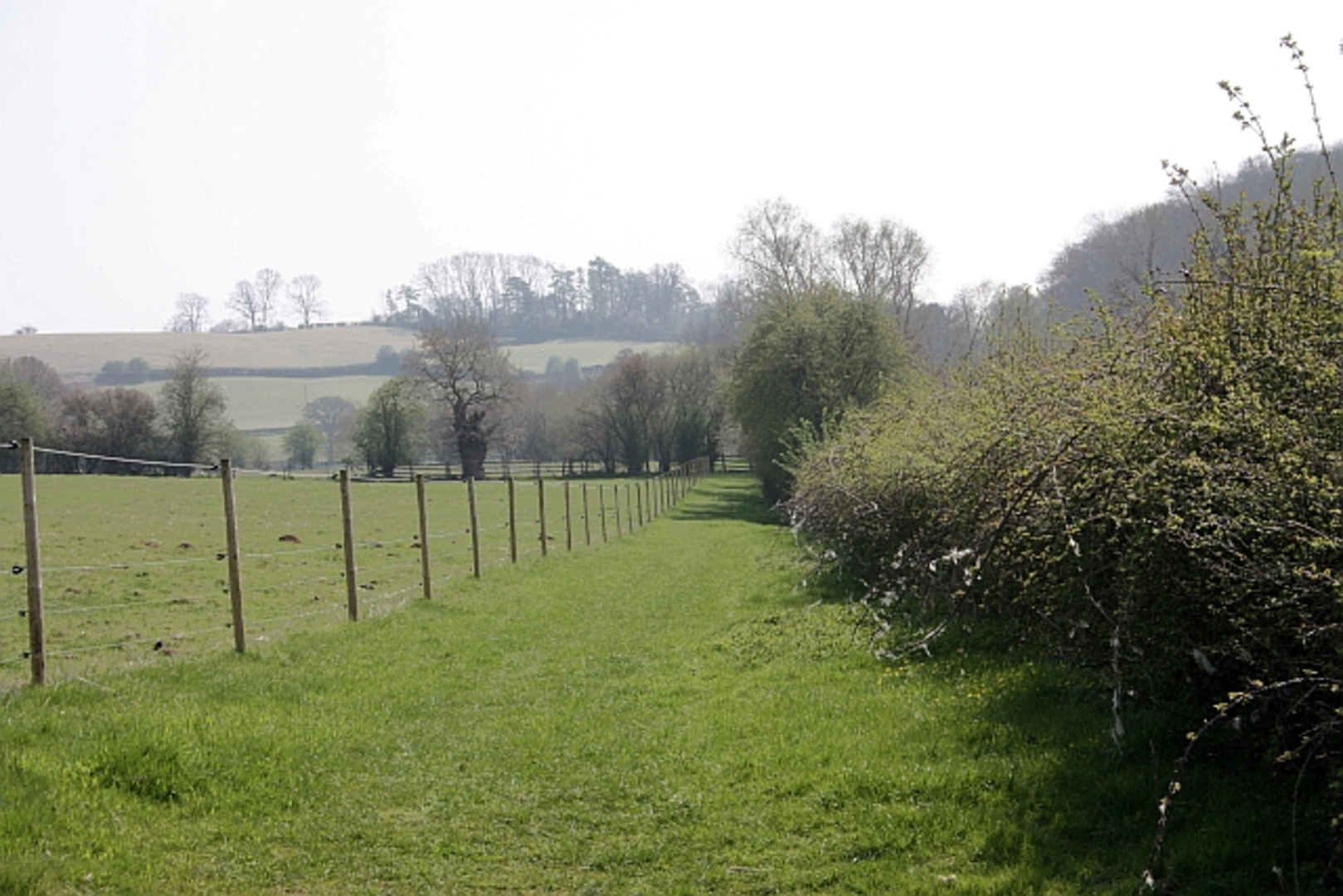 An image depicting the trail Poets Path No 2 and its surrounding area.