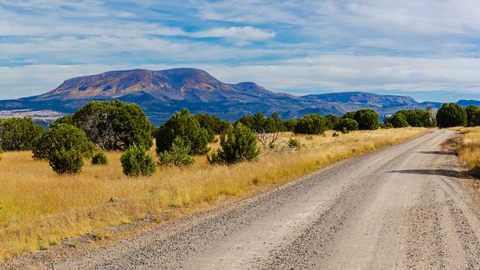 An image depicting the trail Terry Flat Loop Trail and its surrounding area.