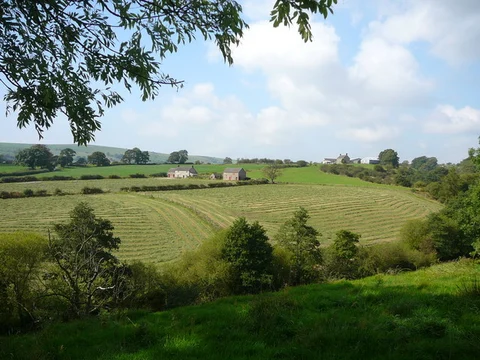 Golborne to Far Moor Walk