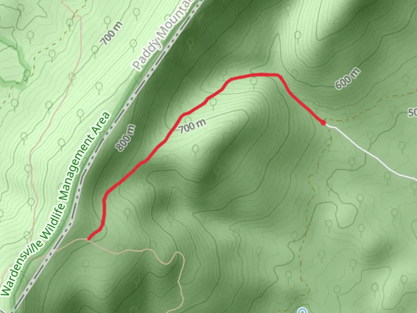 An image depicting the trail Sulphur Spring Gap Trail - SUgar Hill Road and its surrounding area.