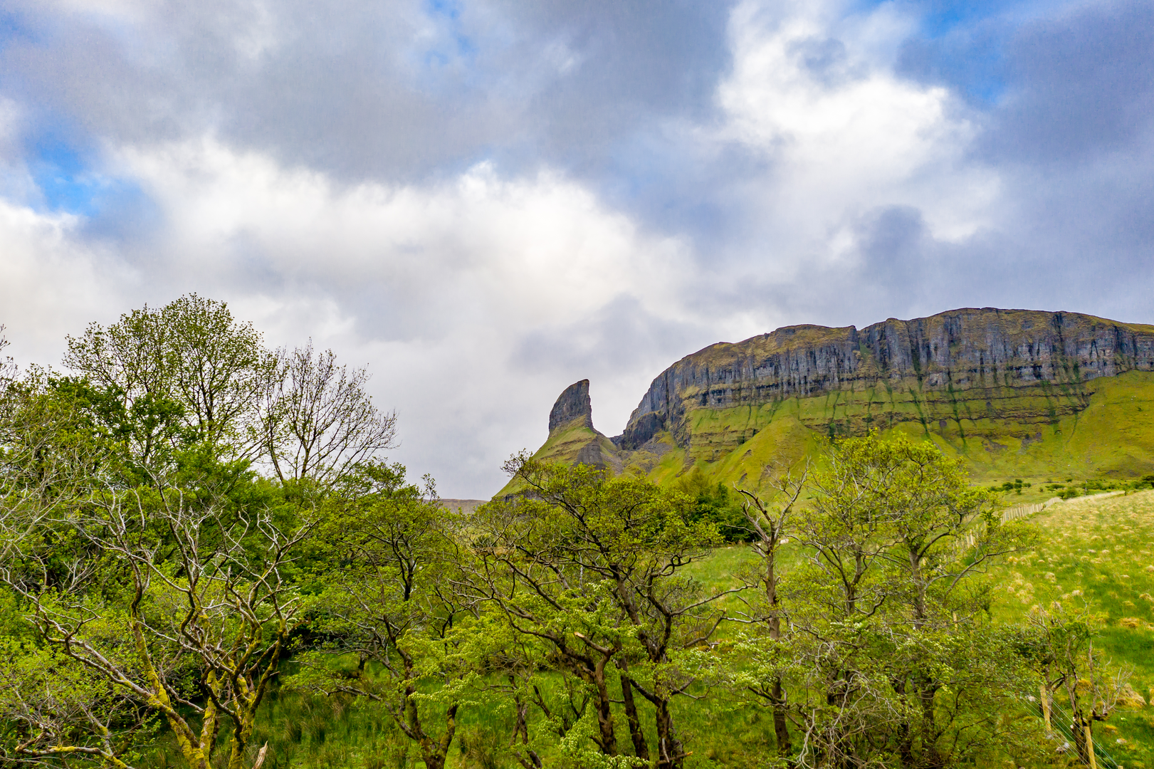 An image depicting the trail Eagles Rock Trail and its surrounding area.