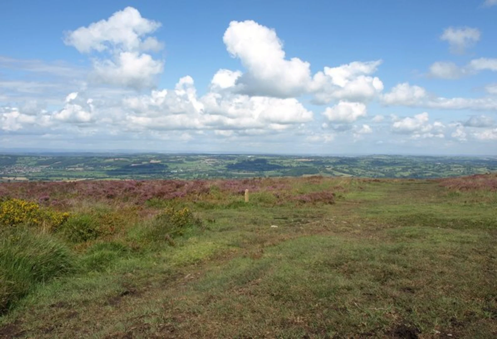 An image depicting the trail Beacon Batch Loop and its surrounding area.