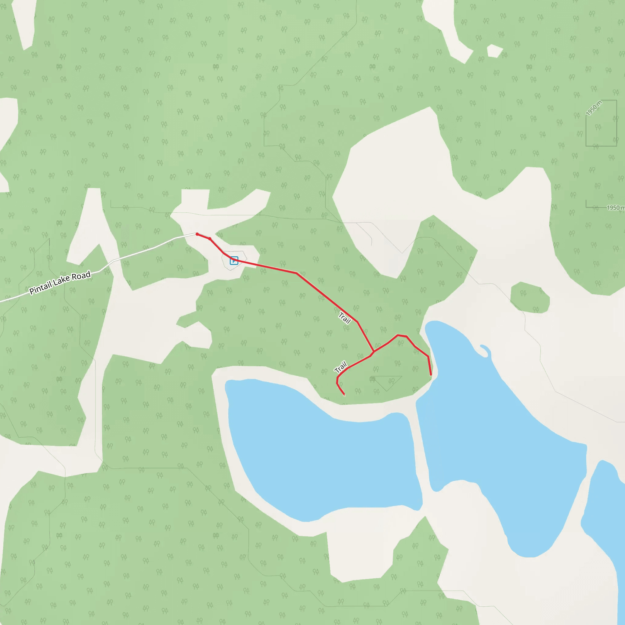 Pintail Lake Trail mobile static map