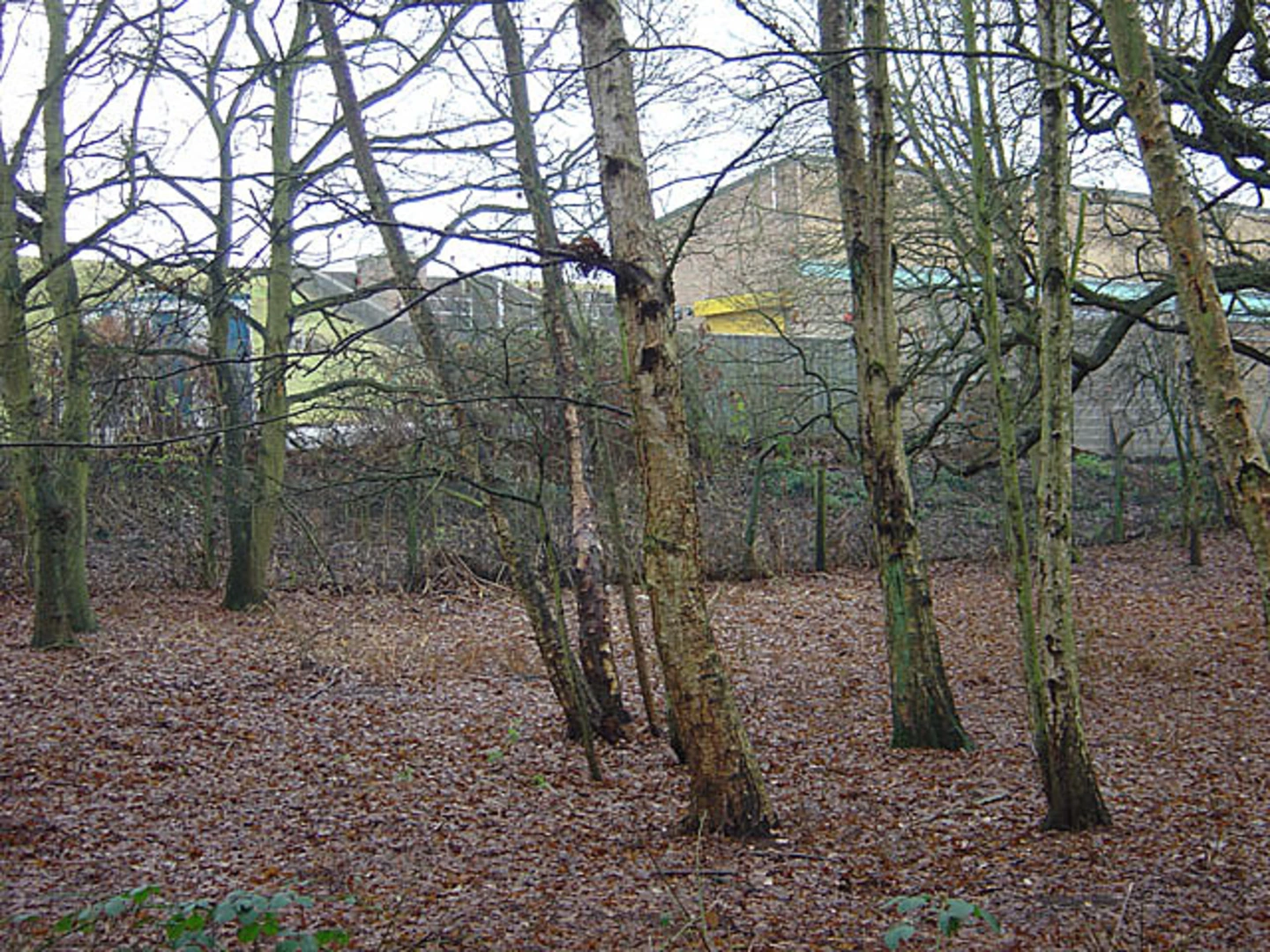 An image depicting the trail Brayton Barff and Selby Canal and its surrounding area.