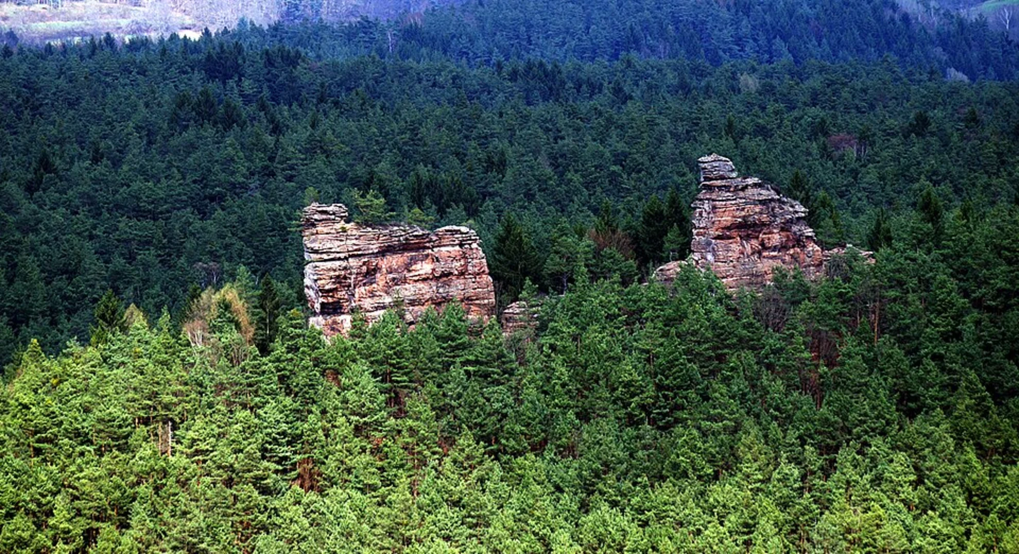 An image depicting the trail Rauhberg and Napoeonsfelsen Loop via Napoleon Steig and its surrounding area.