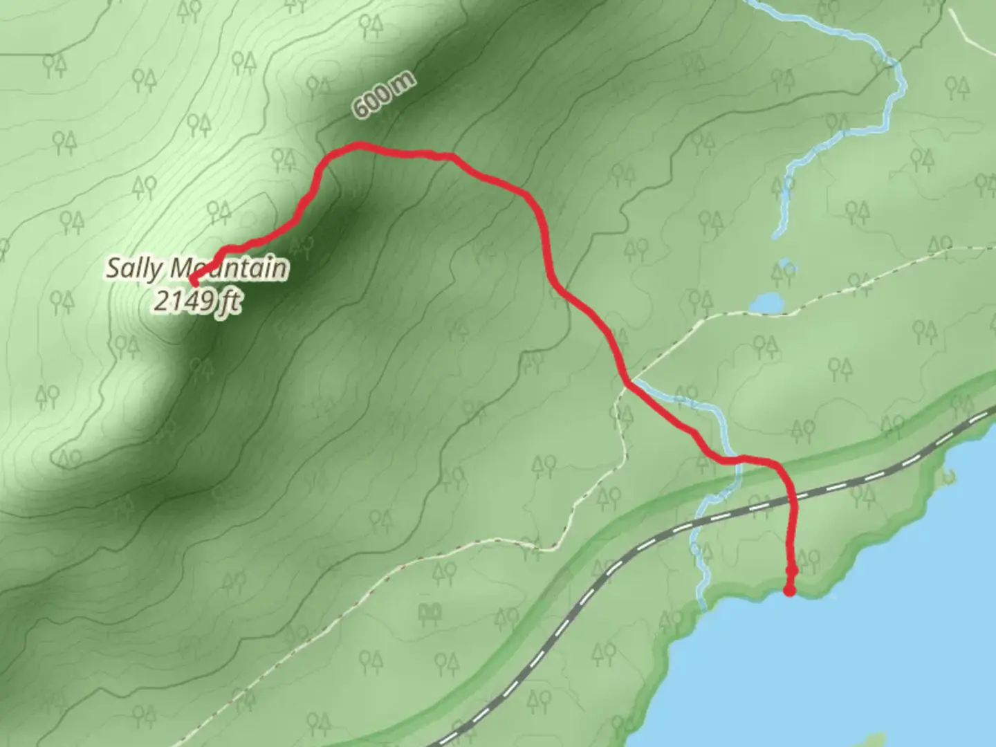 An image depicting the trail Sally Mountain Loop and its surrounding area.