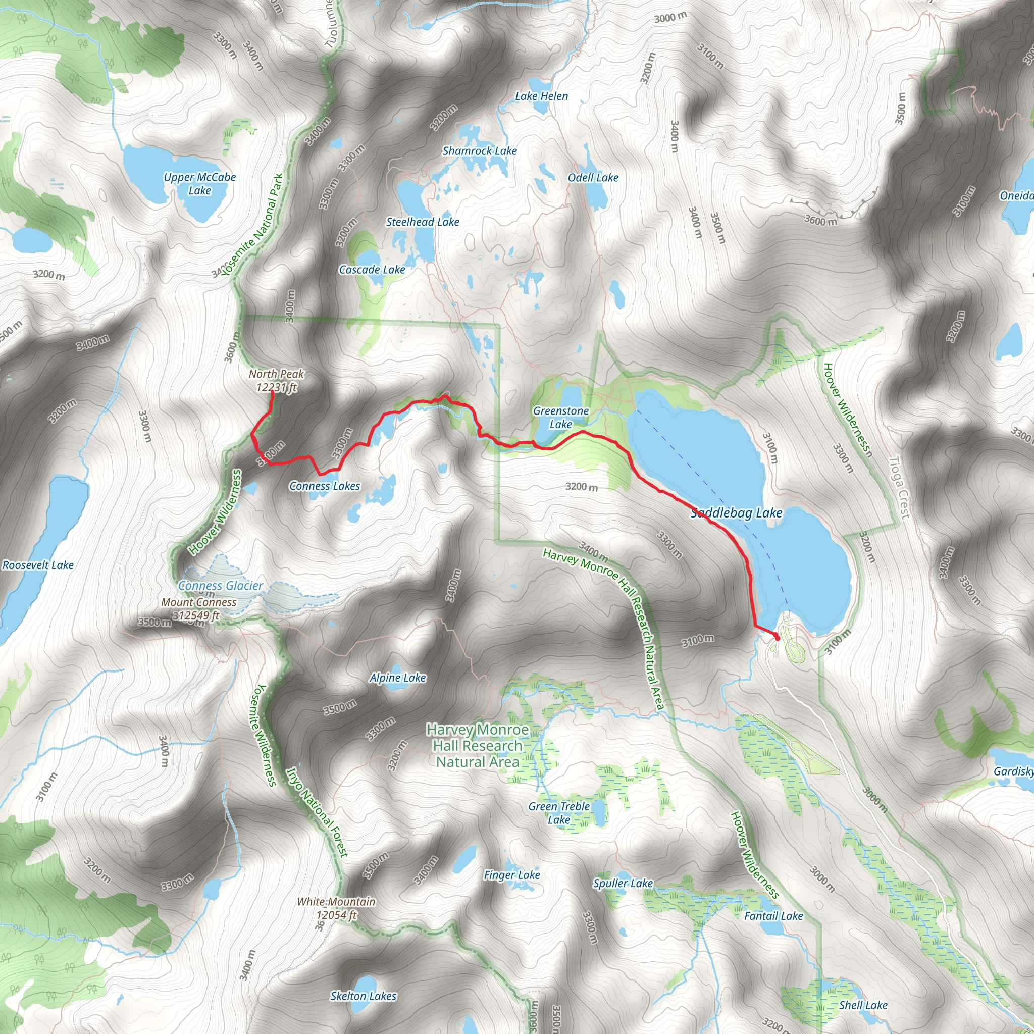 North Peak and North Peak Pass via Saddlebag Lake Trail mobile static map
