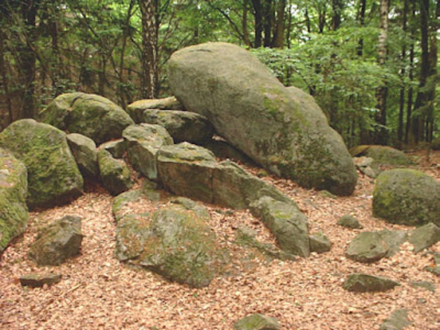 An image depicting the trail Goetzenstein and Natschwasser via Zittau Hochwald and its surrounding area.