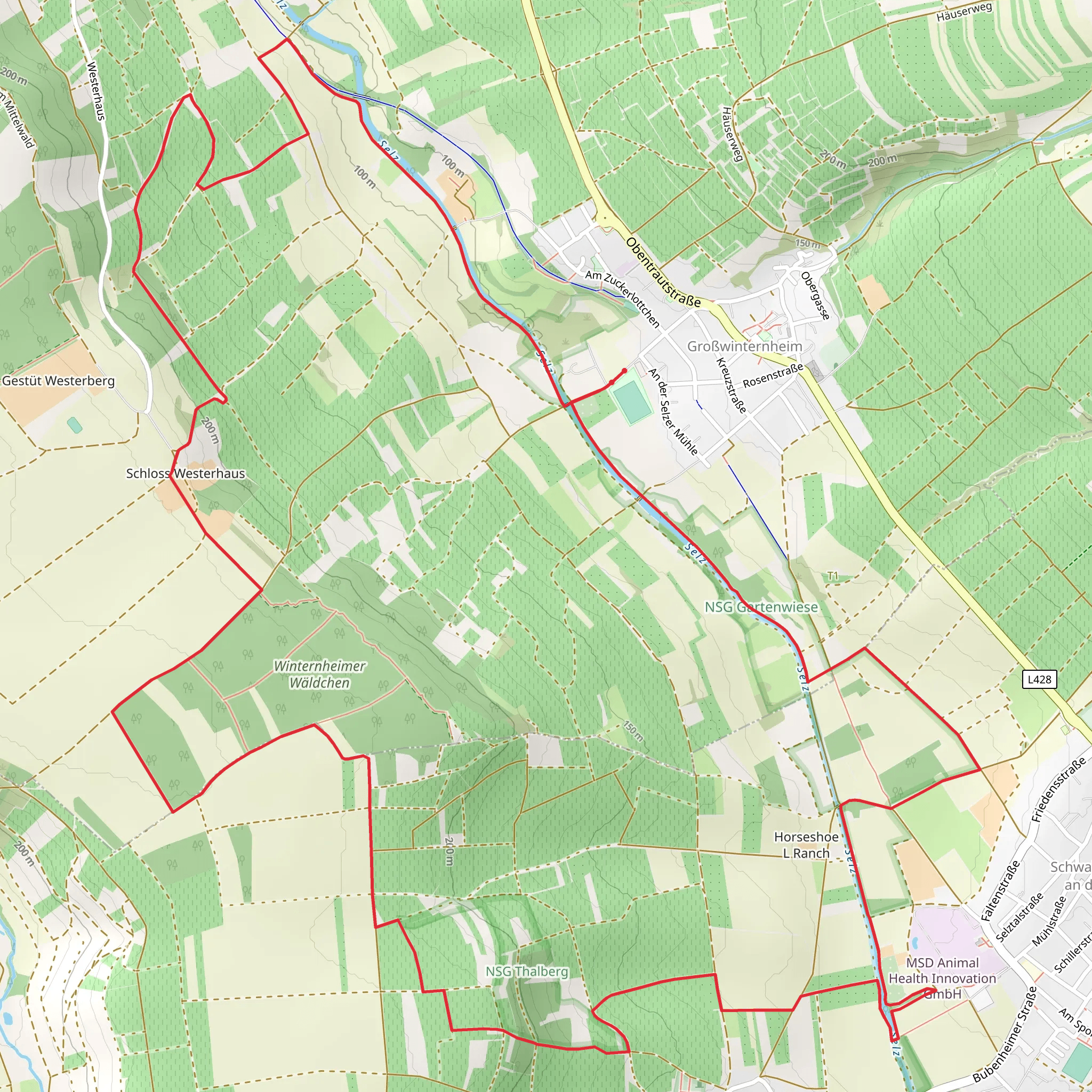 Winternheimer Wäldchen Loop via Hiwweltour Westerberg mobile static map