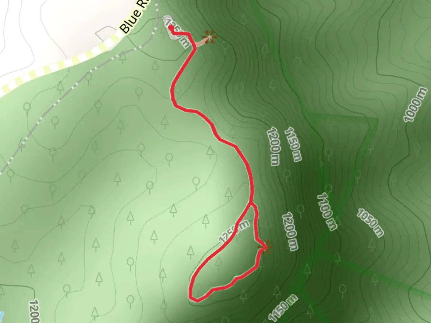 An image depicting the trail Chestoa View Overlook Loop and its surrounding area.