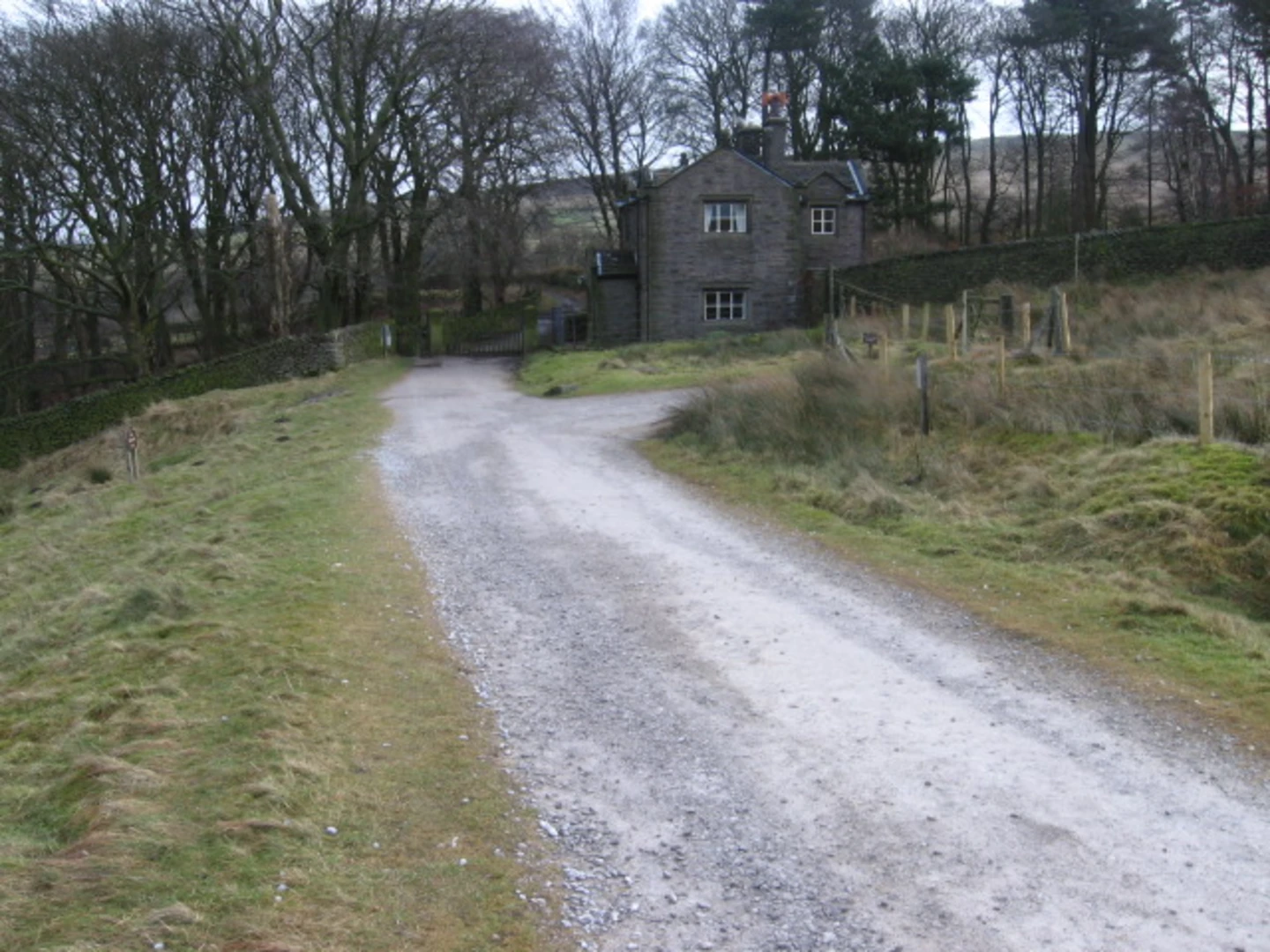 An image depicting the trail Lantern Wood Loop and its surrounding area.