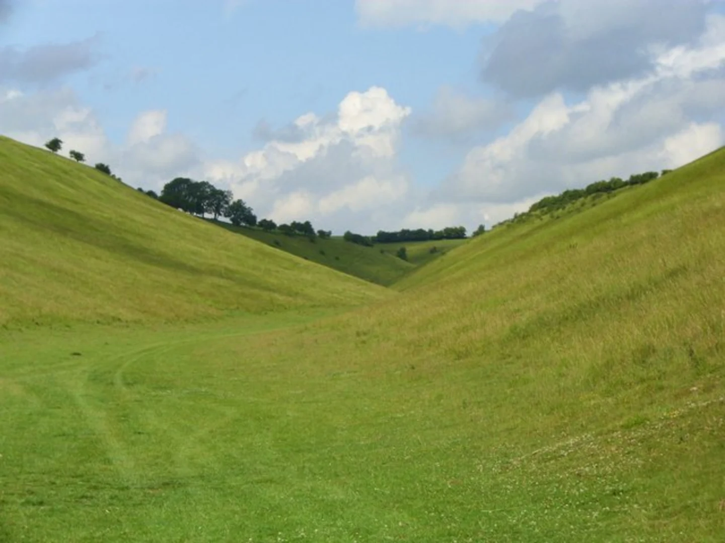 An image depicting the trail Huggate Country Park and Holm Dale Loop and its surrounding area.