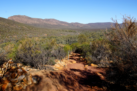 An image depicting the trail Mitchell River Walking Trail and its surrounding area.