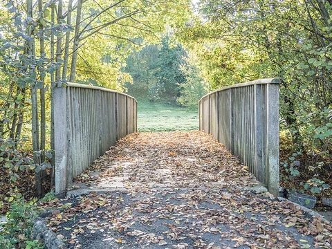 Echallens - Montheron Trail