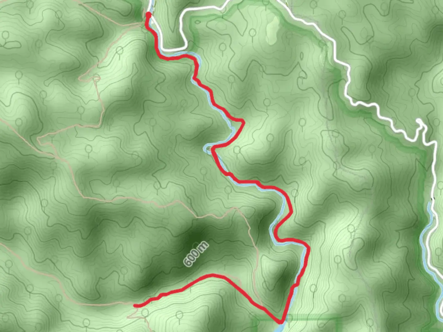 An image depicting the trail Lost Cove Trail Out and Back and its surrounding area.