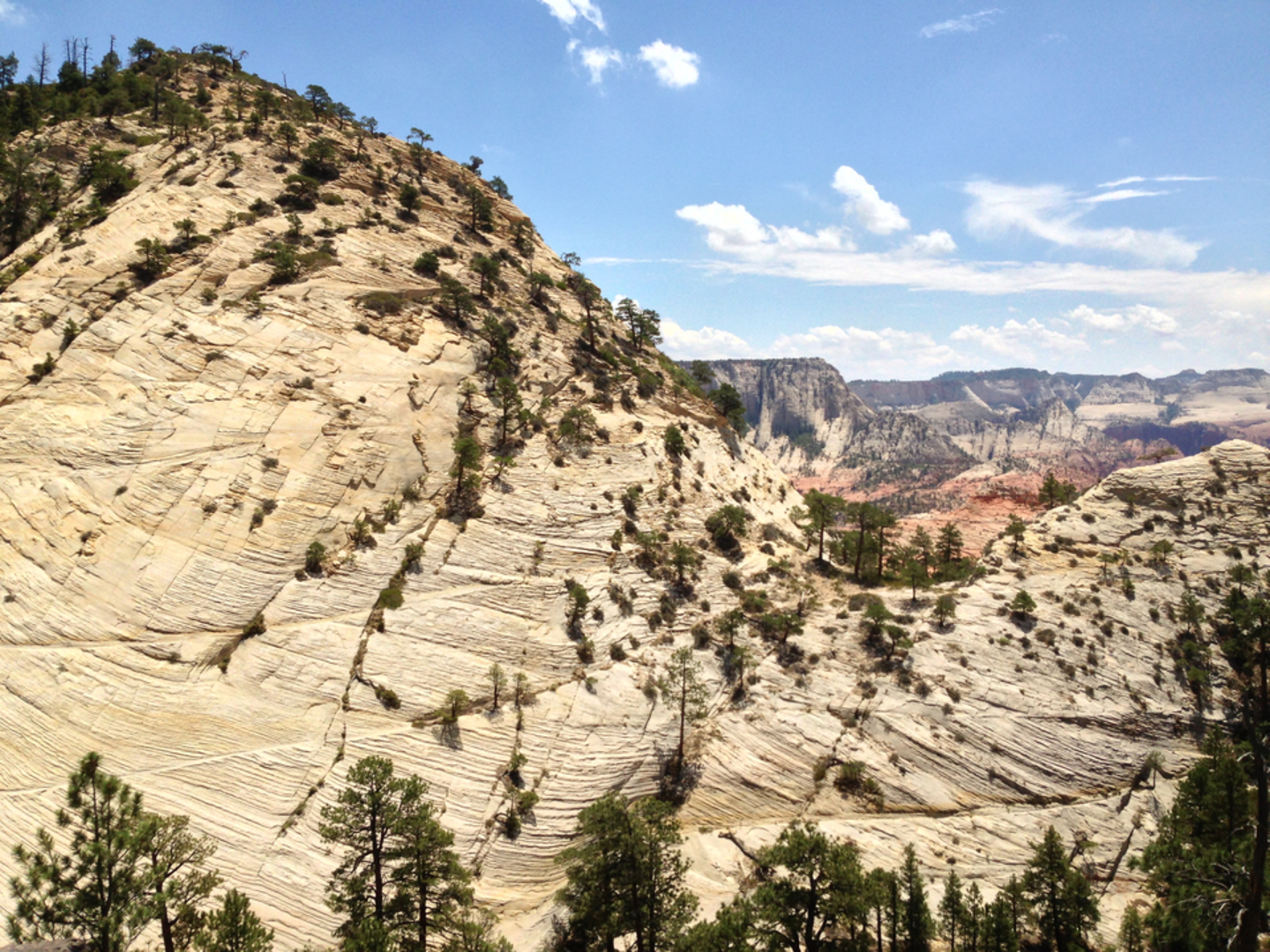 An image depicting the trail Northgate Peaks via Wildcat Canyon Trail and its surrounding area.