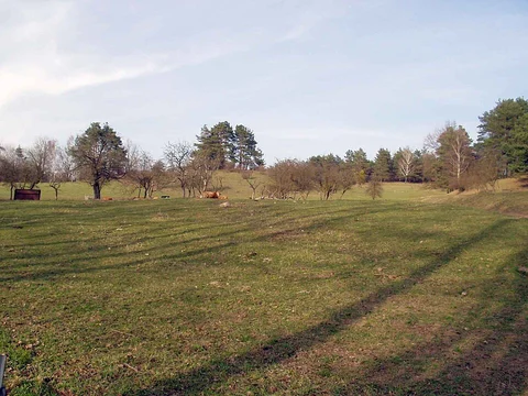 Liepe to Falkenberg Walk