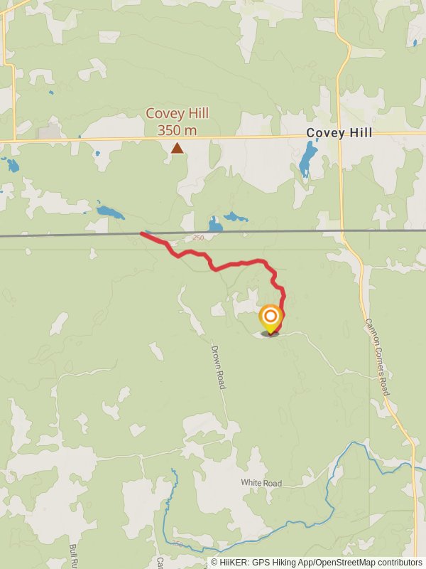 Allen Brook - Yellow Foot Trail