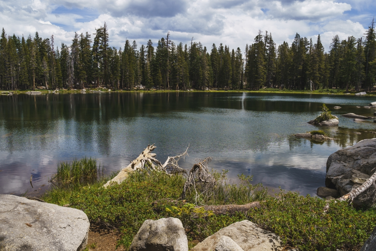 Brewer Lake and Tocher Lake Trail