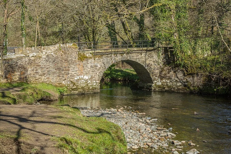 Sticklepath Wood and Bymore Wood via West Devon Way