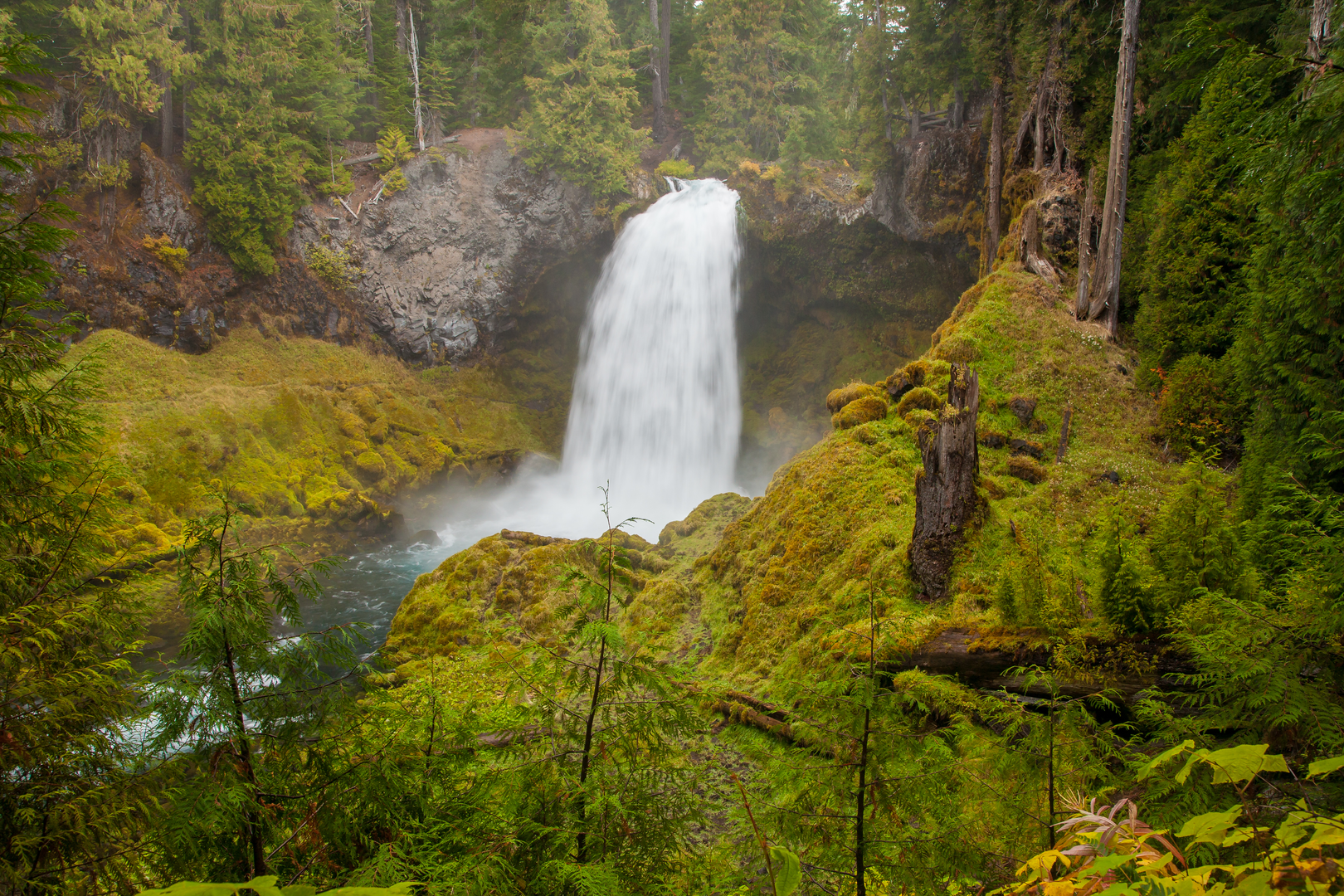 An image depicting the trail Mount Jefferson Wilderness Traverse and its surrounding area.