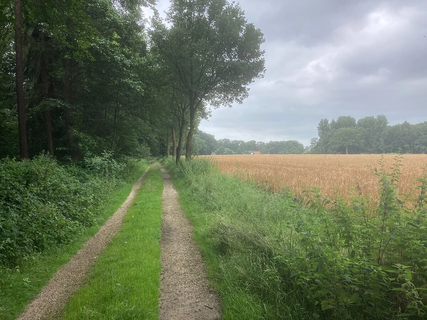 An image depicting the trail Lage Loop and its surrounding area.