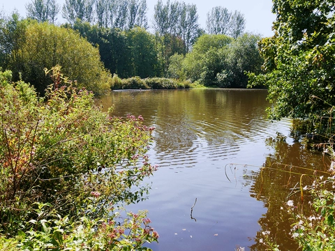An image depicting the trail Martin Mere and its surrounding area.