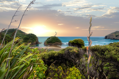 Henga Scenic Reserve Walk