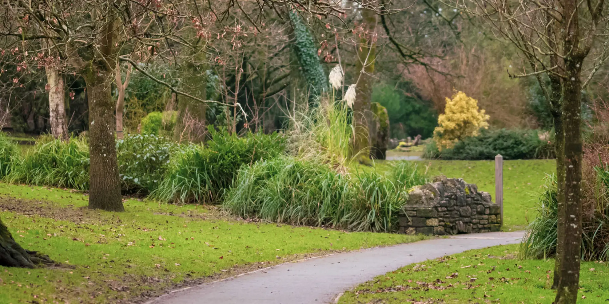 An image depicting the trail East Mendip Way and its surrounding area.