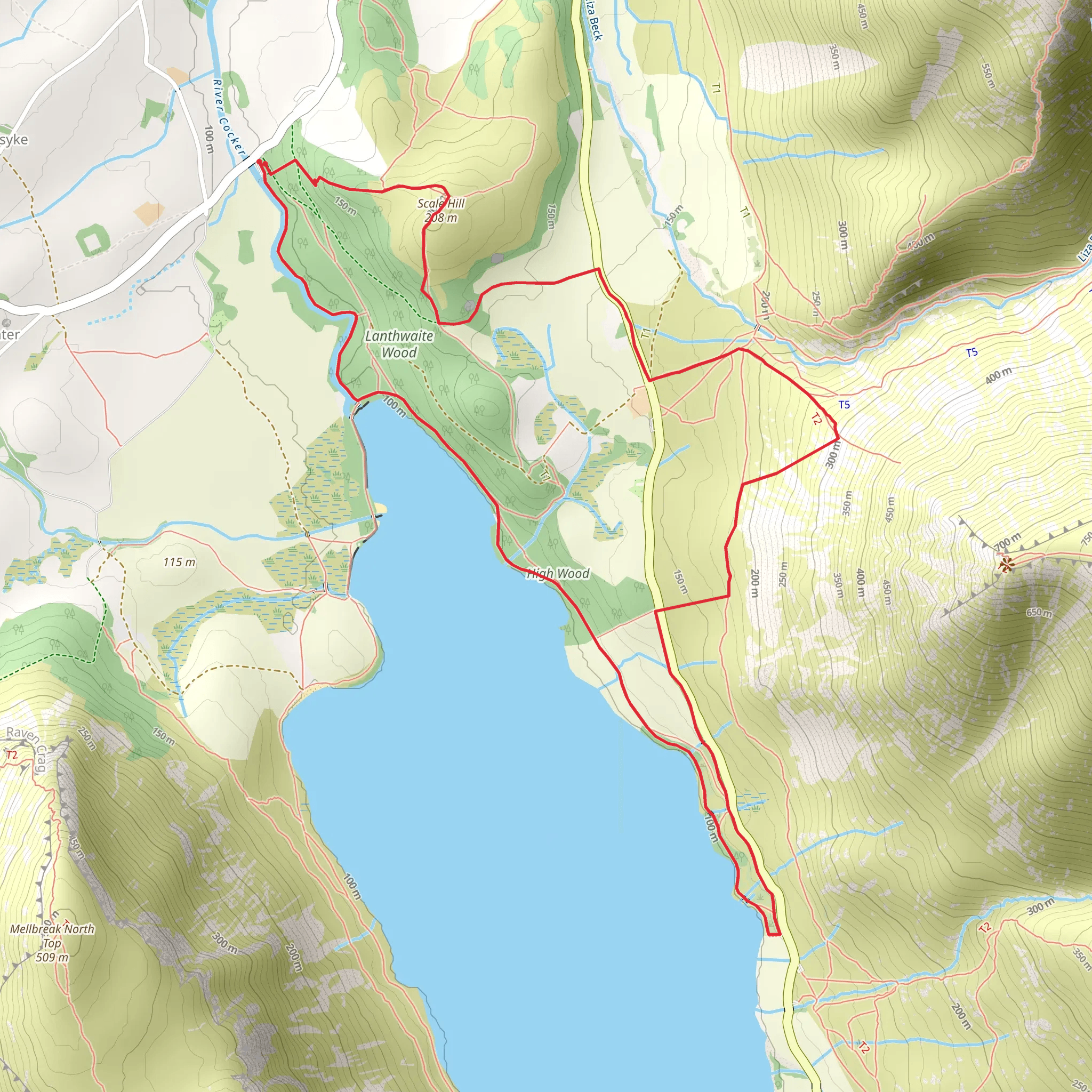 Lanthwaite Wood and Crummock Water Walk mobile static map